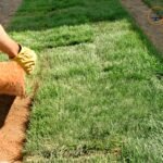 Landscaper (Mali) Jobs in Qatar