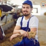 Dairy Farm Worker Jobs in Dubai
